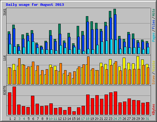 Daily usage for August 2013