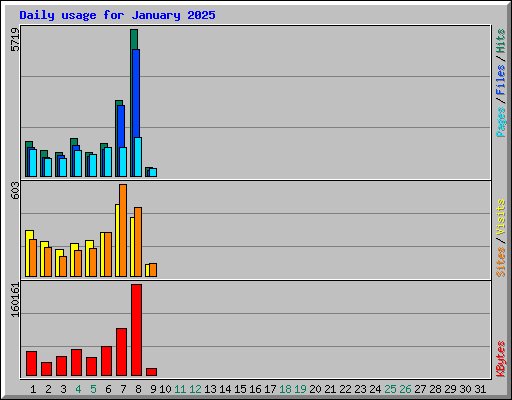 Daily usage for January 2025