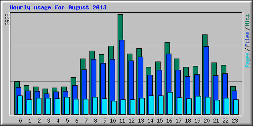 Hourly usage for August 2013