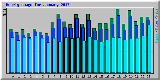 Hourly usage for January 2017