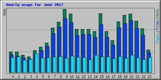 Hourly usage for June 2017