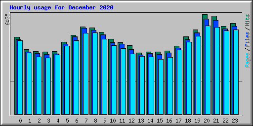 Hourly usage for December 2020