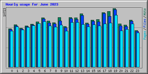 Hourly usage for June 2023