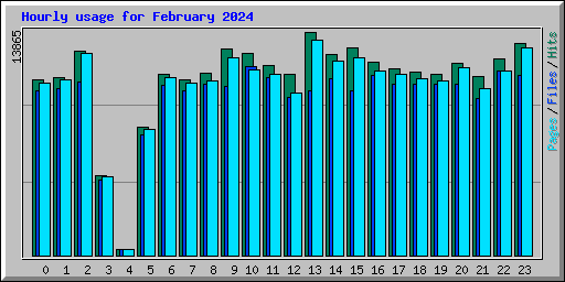 Hourly usage for February 2024