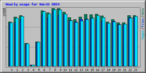 Hourly usage for March 2024