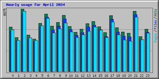 Hourly usage for April 2024