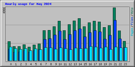 Hourly usage for May 2024