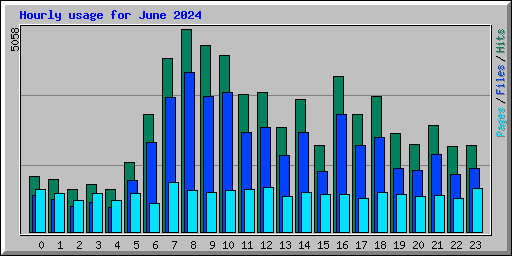 Hourly usage for June 2024