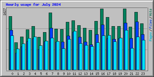 Hourly usage for July 2024