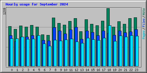 Hourly usage for September 2024