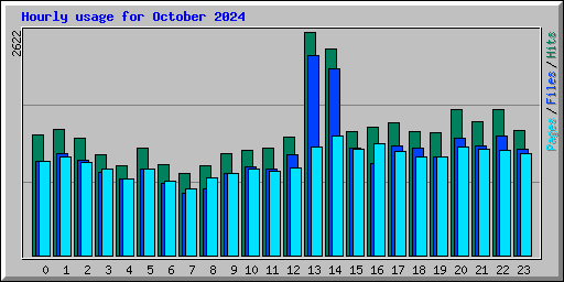 Hourly usage for October 2024