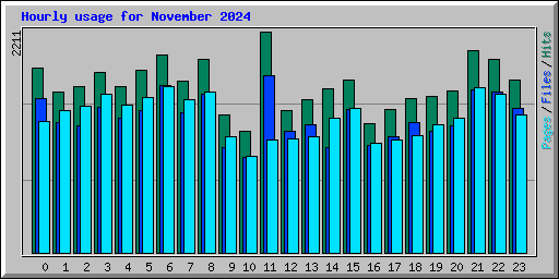 Hourly usage for November 2024