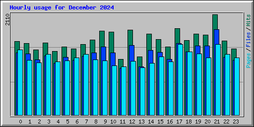 Hourly usage for December 2024