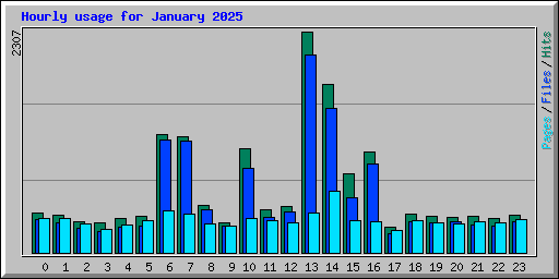 Hourly usage for January 2025